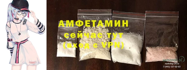 прущие грибы Богданович