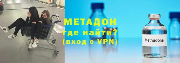 прущие грибы Богданович