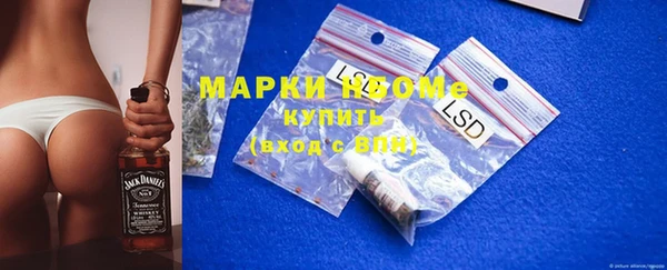 прущие грибы Богданович