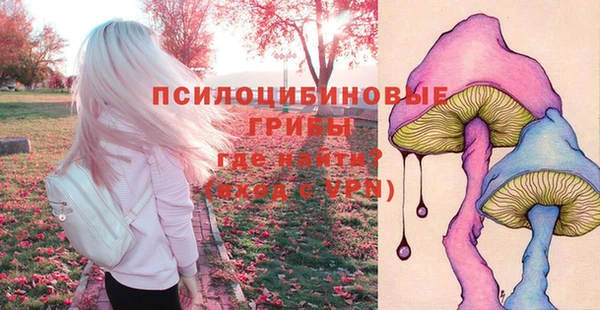 а пвп мука Бронницы