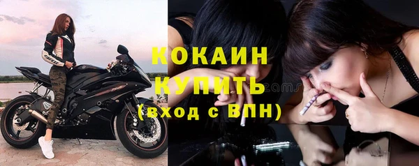 хмурый Богородск
