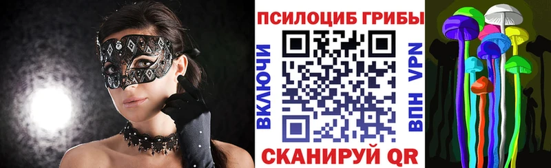 дарк нет телеграм Коряжма Галлюциногенные грибы Cubensis что такое наркотик